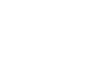 icon1-w